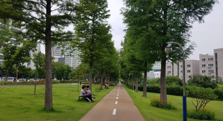 경북 포항 송도 솔밭 도시숲 사진입니다.