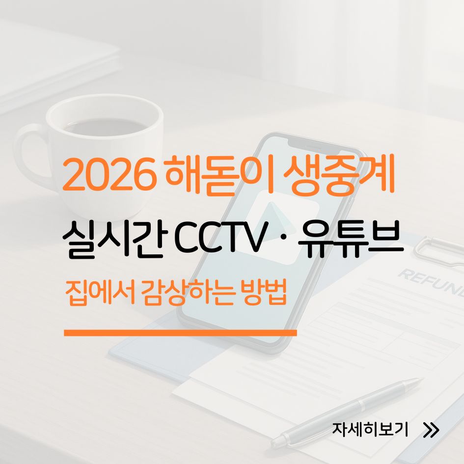 2026년 새해 해돋이 실시간 CCTV로 보기