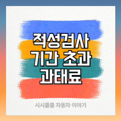 적성검사 기간 초과 과태료 벌금