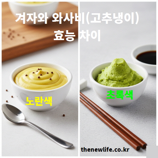 겨자와 와사비(고추냉이)의 효능 차이를 비교한 이미지 — 노란색 겨자와 초록색 와사비의 시각적 차이와 주요 특징을 나타낸 사진