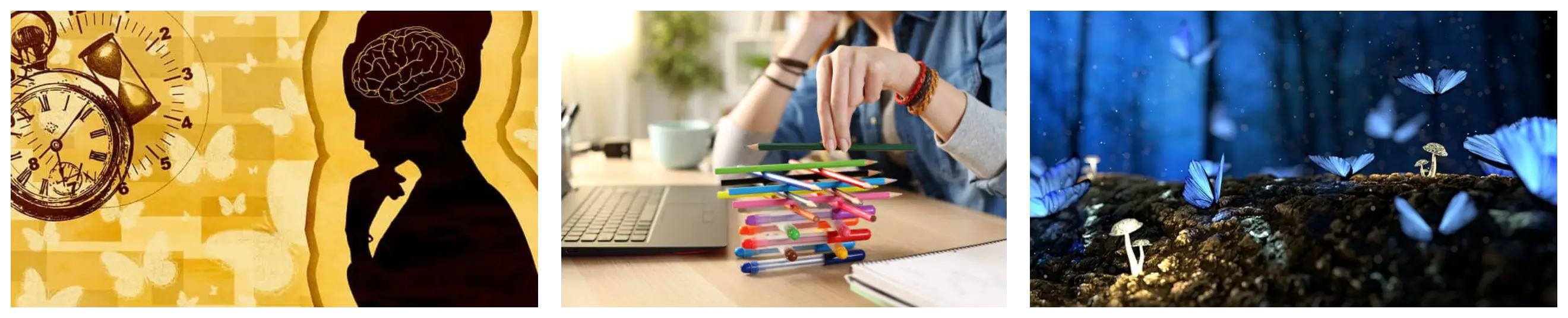 청년 구직자에게 가장 현실적인 지원 제도