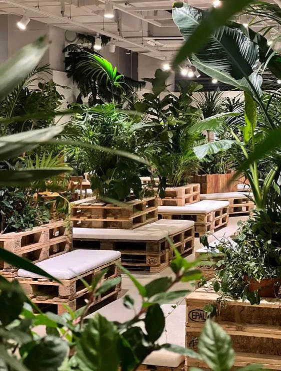 어반플랜트 명동