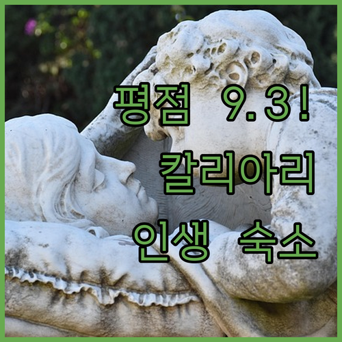 평점 9.3점의 비결이 무엇일까? 항..