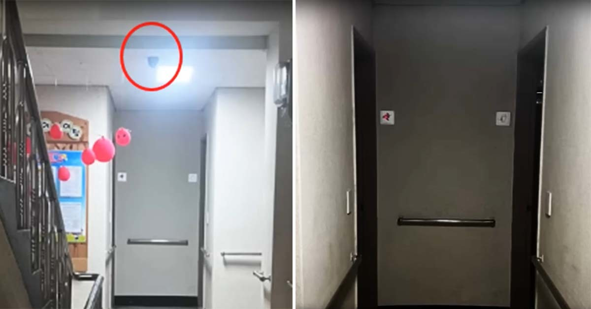 동탄 화장실 무고 사건