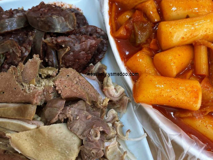 속초 맛집