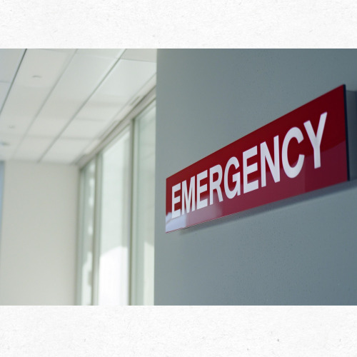 8월 15일 광복절 당번 진료 병원 위치 지도