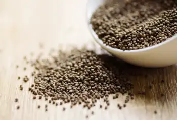 국산 들깨 1말 가격, 들깨의 효능과 영양성분