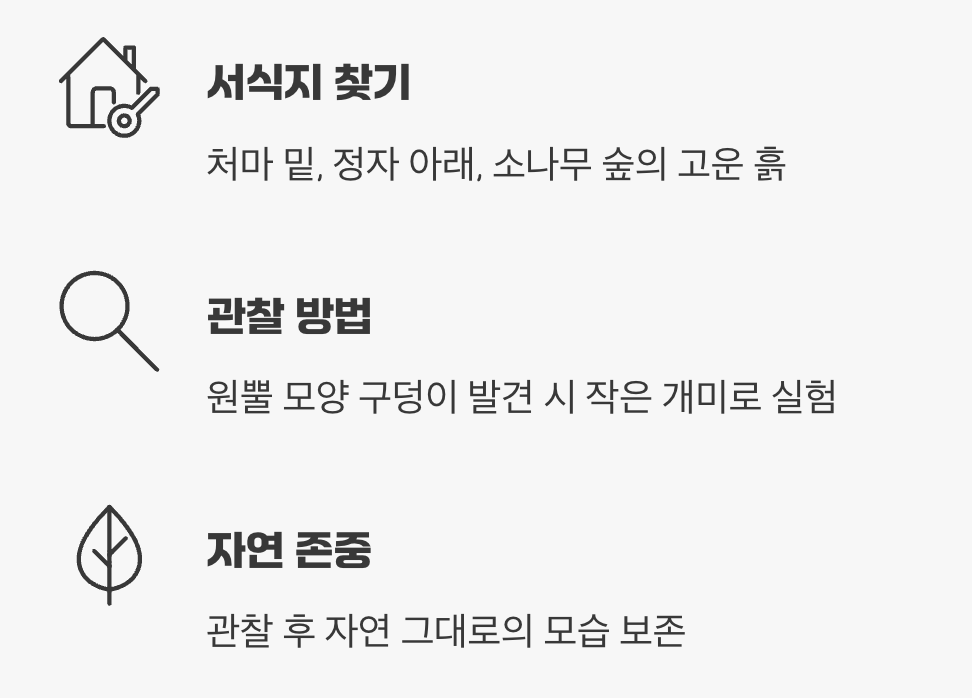 이 작은 사냥꾼을 만나려면