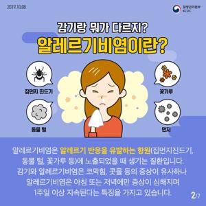 알레르기 비염