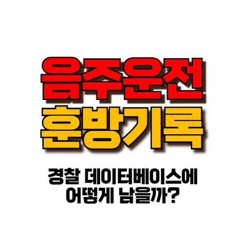 음주운전 훈방 기록 썸네일