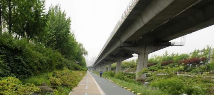 서울단풍명소 추천