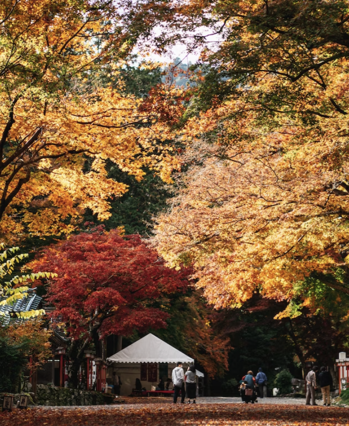오사카 여행하기 좋은 시기