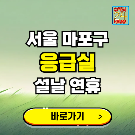 서울 마포구 설날 연휴 비상진료 응급실 병원 찾기 ❘ 내근처 24시 야간 심야 휴일 가능한 곳