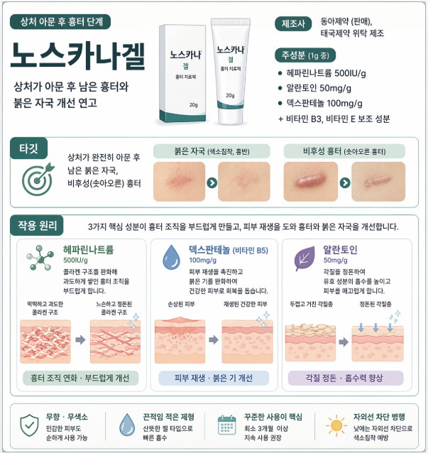 노스카나겔 흉터 연고 인포그래픽으로 상처 아문 후 붉은 자국과 비후성 흉터 개선 효과, 헤파린나트륨·덱스판테놀·알란토인 성분 작용과 피부 재생 원리를 정리한 이미지
