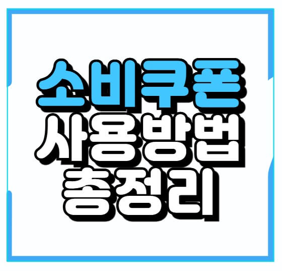 민생회복 소비쿠폰 사용방법