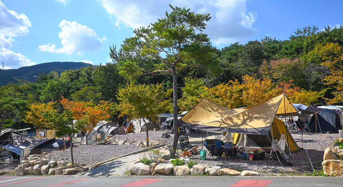 김해 가야랜드달빛야영장 소개