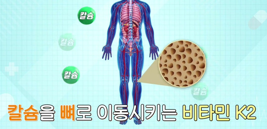 카무트 효소 효능