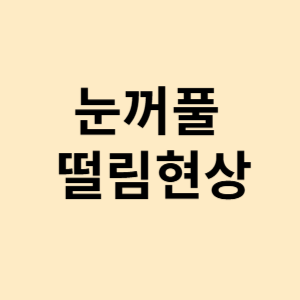 눈꺼풀 떨림현상
