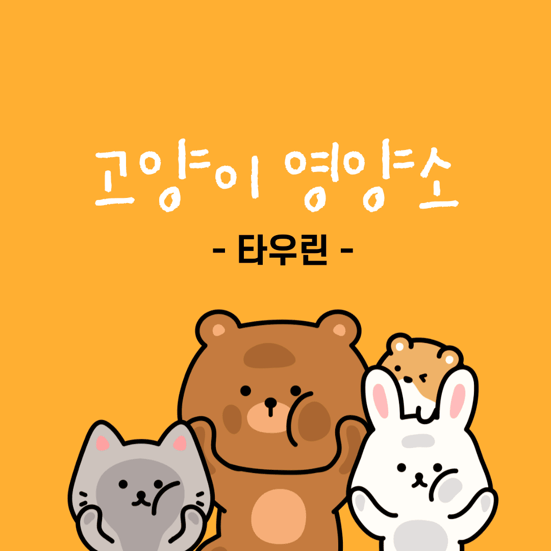 고양이 영양소 - 타우린 효능