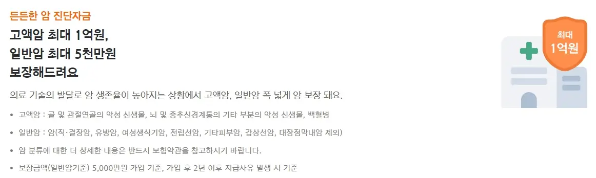 암보험 보장내용 비교 총정리