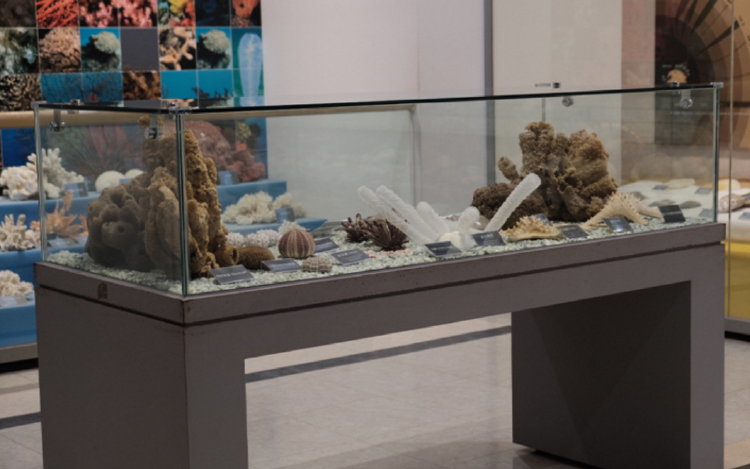 통영 수산과학관