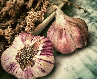 독감에 좋은 음식