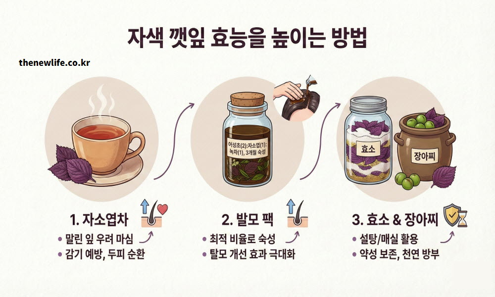 자색 깻잎 효능 높이는 방법 및 섭취법