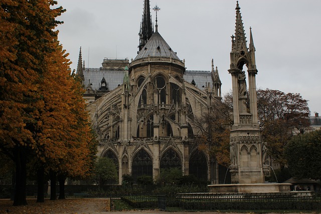 노트르담 대성당 (Cath&eacute;drale Notre-Dame de Paris)