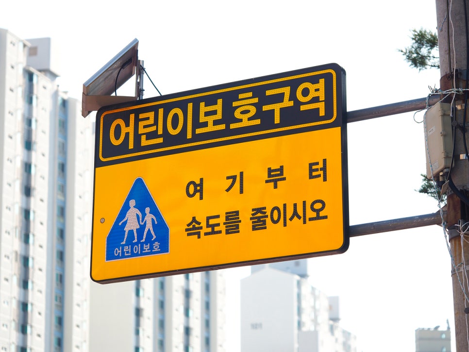 2025년 달라지는 도로교통법 개정안 총정리 (+음주운전, 고령운전자, 1종 자동면허)