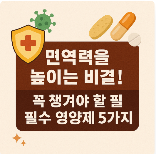 면역력을 높이는 비결! 필수 영양제 5가지!