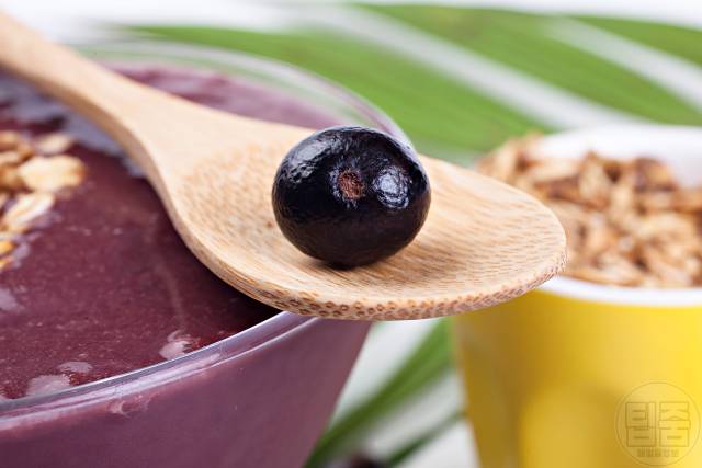 열대과일 종류 아사이 베리