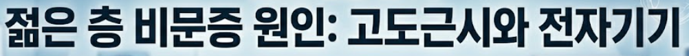 비문증 원인