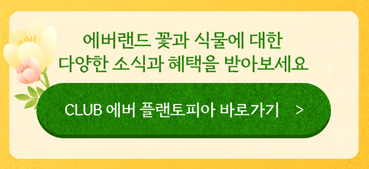 에버랜드 플린토피아