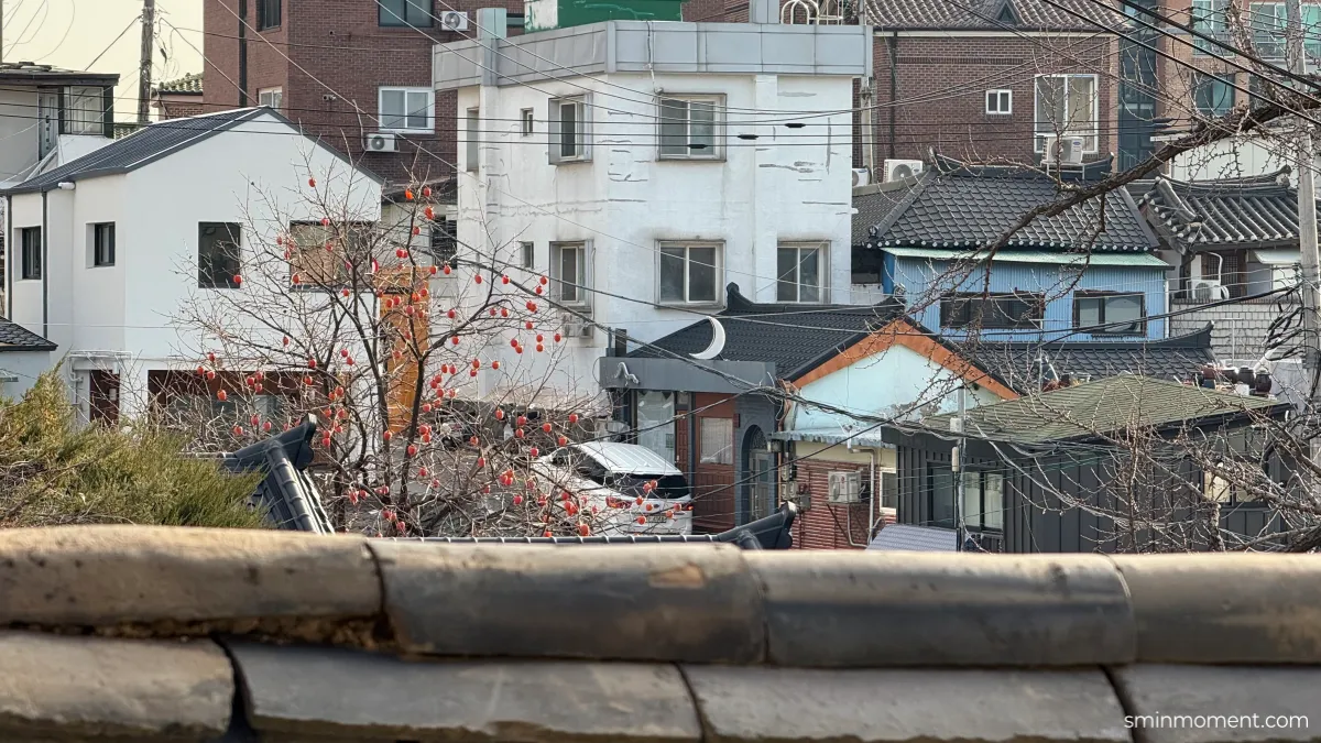 북촌한옥마을-전통한옥-만월정-백년역사-감나무-감-주렁주렁