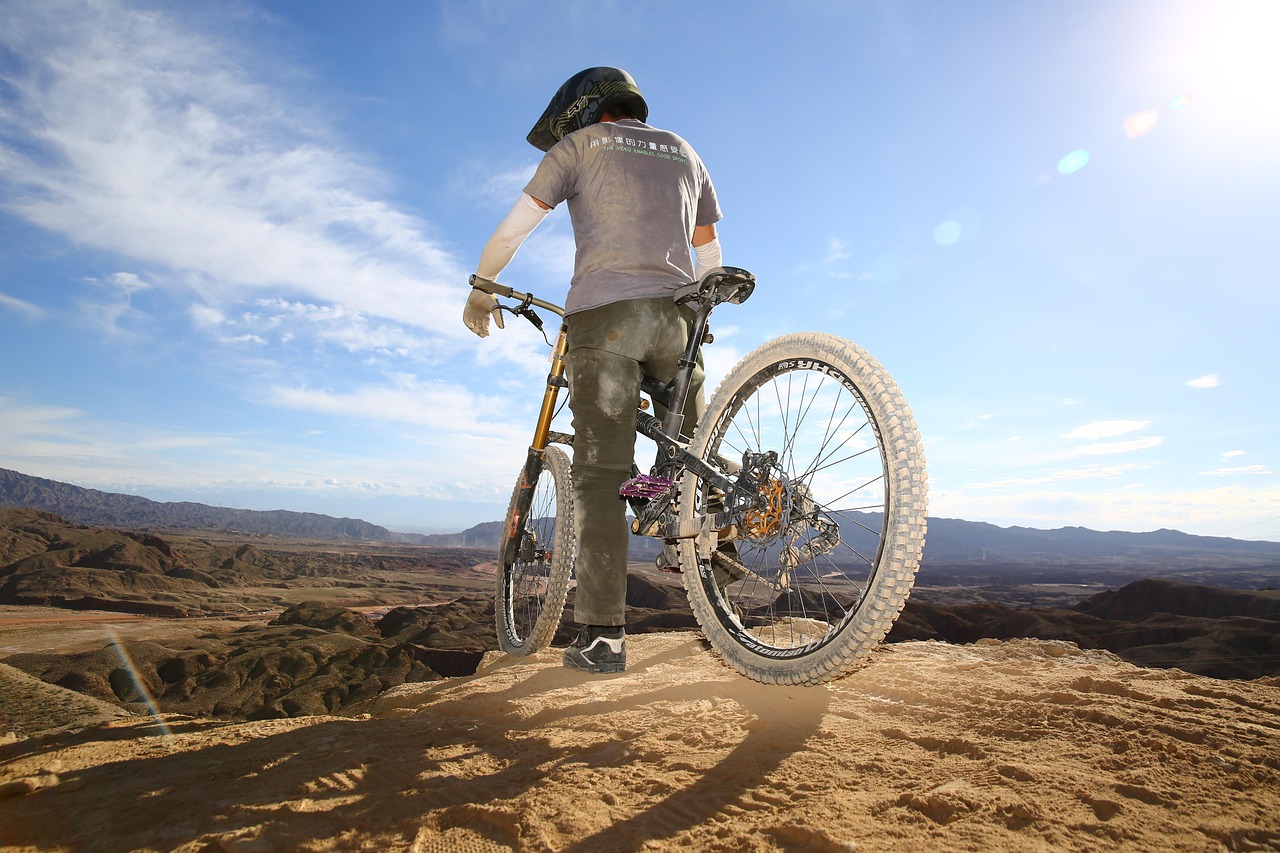 체육인 기회소득