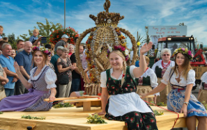 11월 전국 축제 및 여행