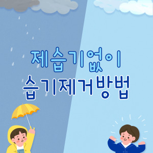 제습기 없이 습기제거하는 방법