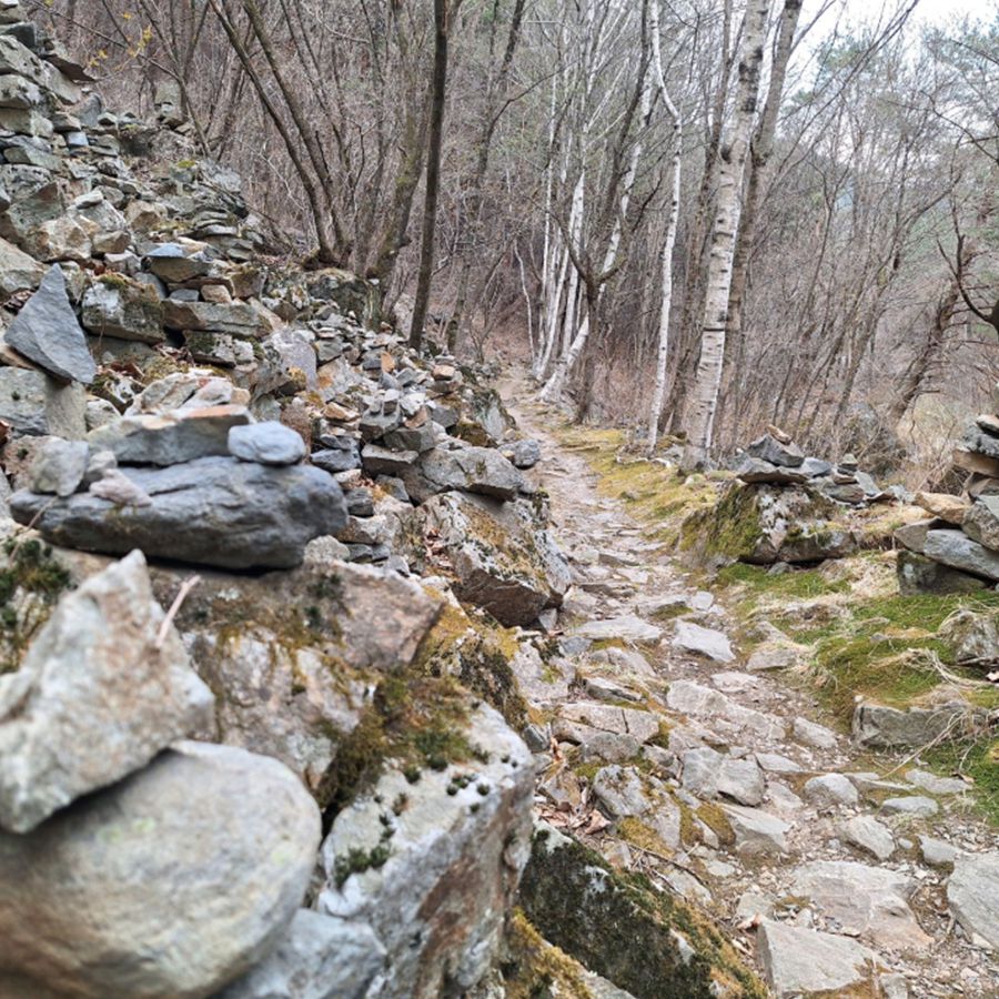 가리왕산자연휴양림