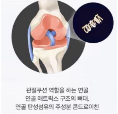 콘드로이친 1200mg