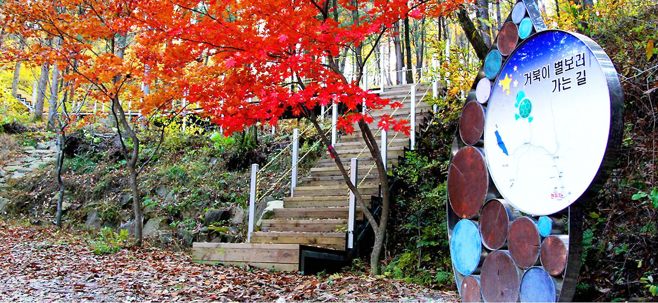 2025 증평인삼골축제&amp;#44;인삼 체험 축제