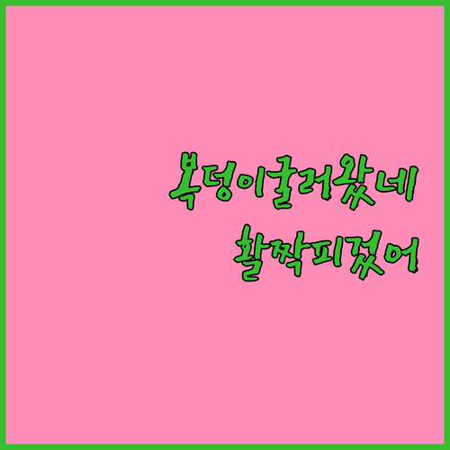 부산 복덩이 굴러왔네! 소상공인, 취..