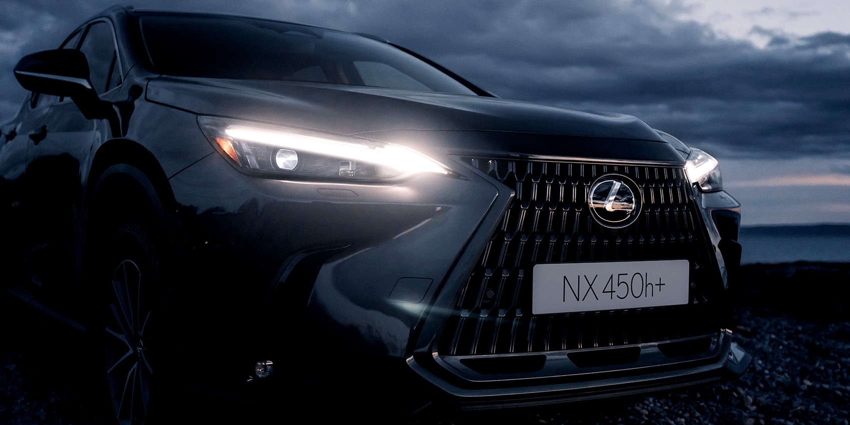 렉서스 NX 450h+(4)