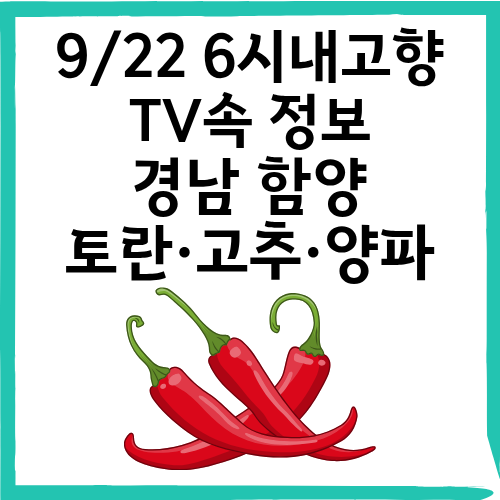 경남 함양 토란·고추·양파 정보 총정리|6시 내고향 방영