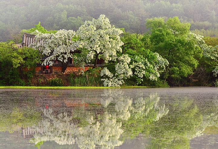 밀양 가볼만한곳