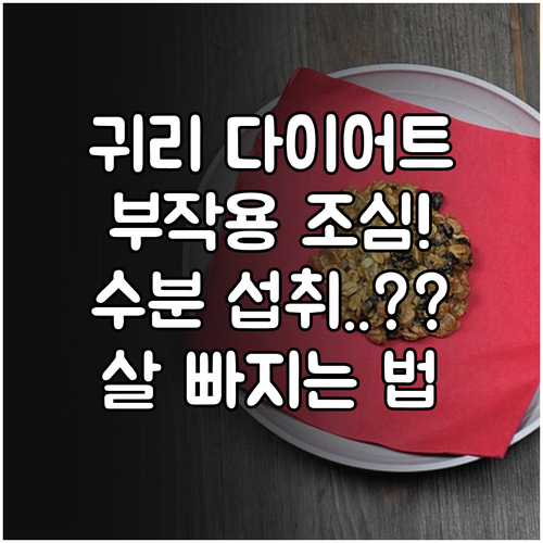 귀리밥 다이어트 부작용 방지법 및 수..