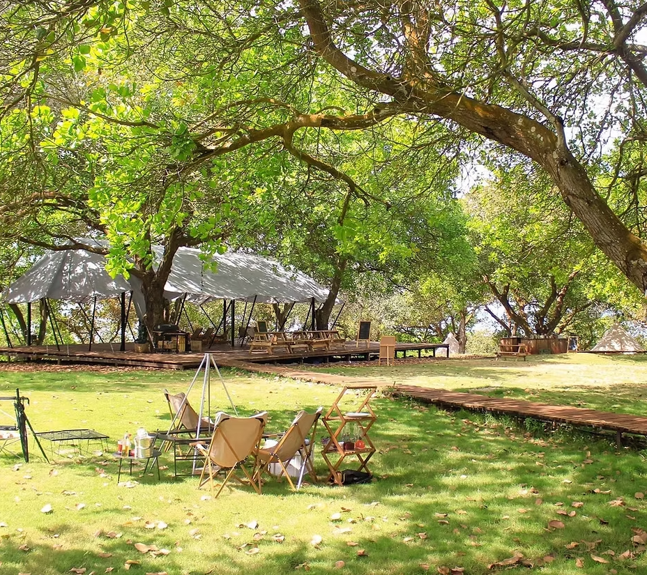 트로피컬 이 글램핑