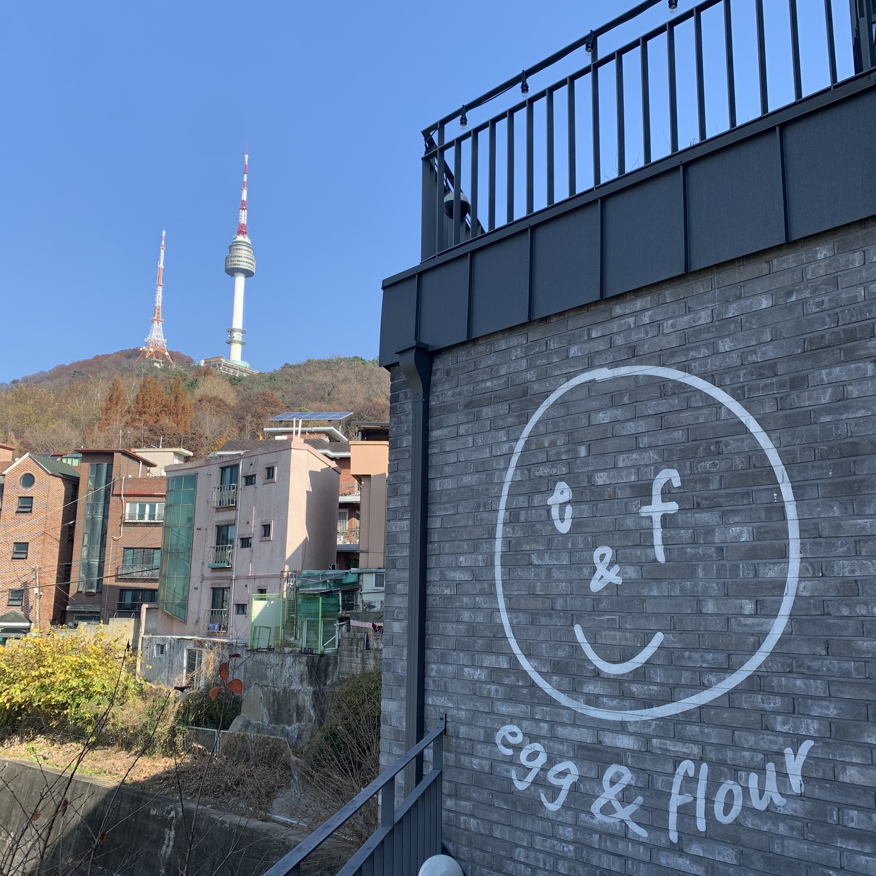 에그앤플라워 전망