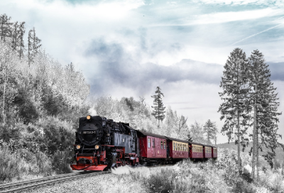 설경 속의 겨울 여행