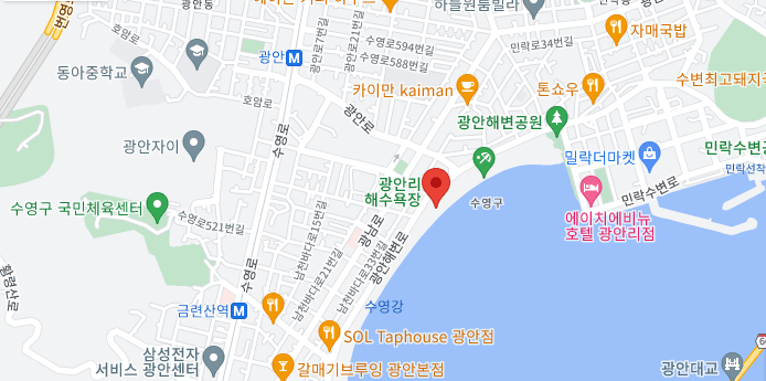 부산 불꽃 축제 사진