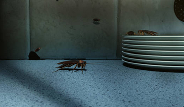 세스코 가정집 가격